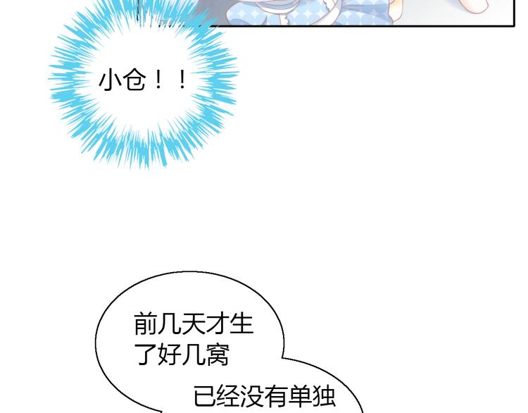 猫爪之下韩漫全集-第110话 有情鼠终成眷属无删减无遮挡章节图片 