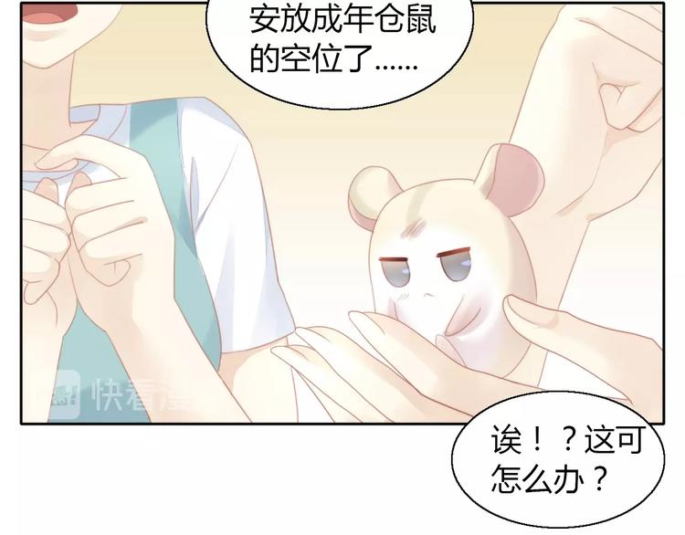 猫爪之下韩漫全集-第110话 有情鼠终成眷属无删减无遮挡章节图片 