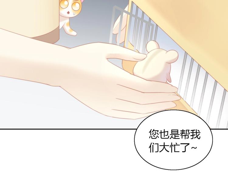 猫爪之下韩漫全集-第110话 有情鼠终成眷属无删减无遮挡章节图片 