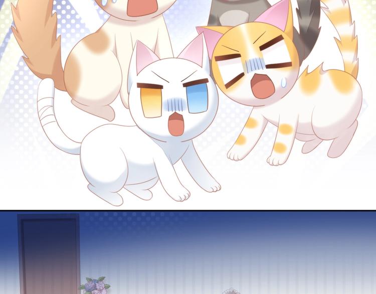 猫爪之下韩漫全集-第111话 失去空调的夏天无删减无遮挡章节图片 