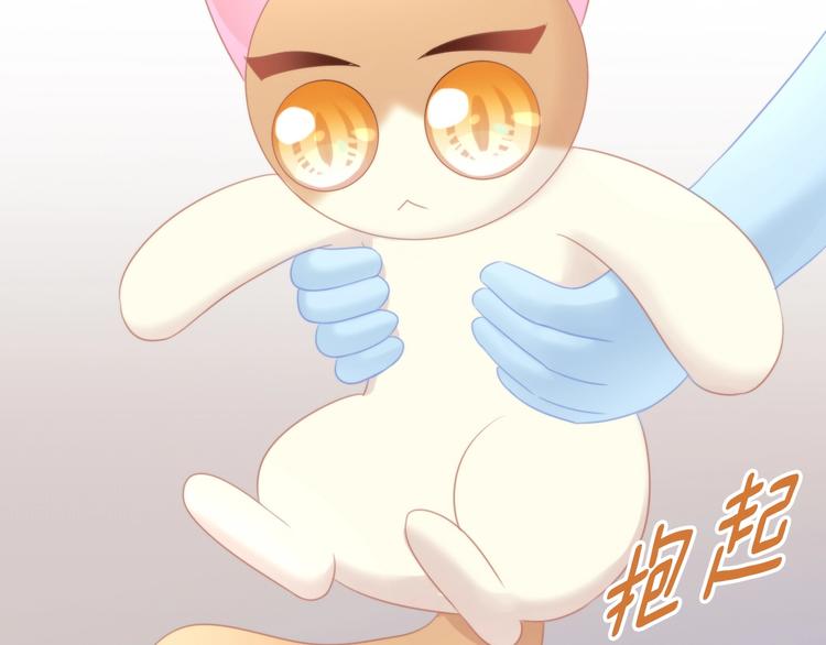 猫爪之下韩漫全集-第111话 失去空调的夏天无删减无遮挡章节图片 