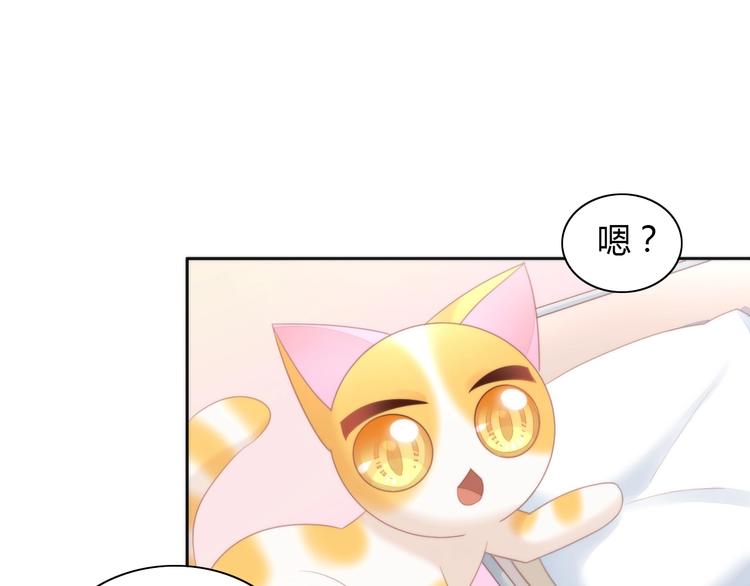 猫爪之下韩漫全集-第113话 断舍离无删减无遮挡章节图片 