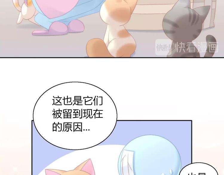 猫爪之下韩漫全集-第113话 断舍离无删减无遮挡章节图片 