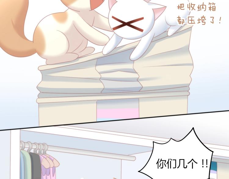 猫爪之下韩漫全集-第113话 断舍离无删减无遮挡章节图片 