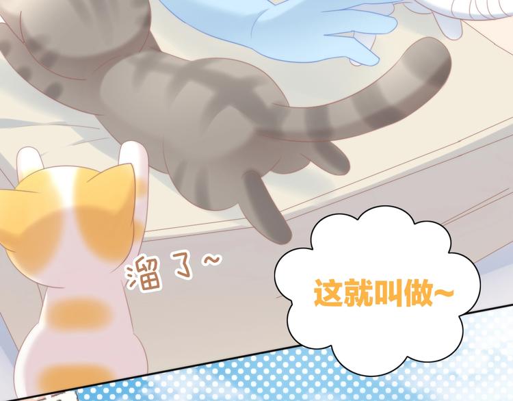 猫爪之下韩漫全集-第113话 断舍离无删减无遮挡章节图片 