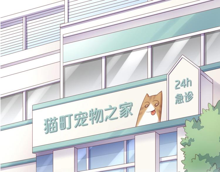 猫爪之下韩漫全集-第114话 猫咪也要刷牙！无删减无遮挡章节图片 