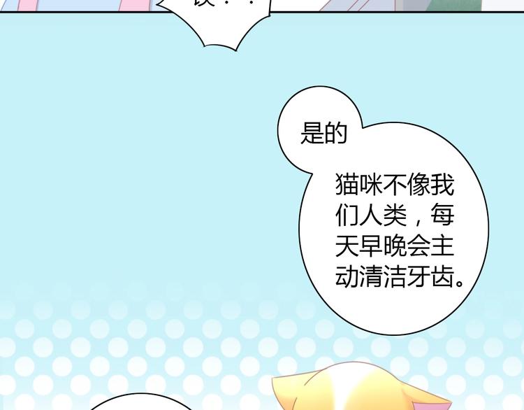 猫爪之下韩漫全集-第114话 猫咪也要刷牙！无删减无遮挡章节图片 