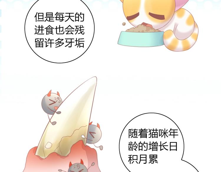 猫爪之下韩漫全集-第114话 猫咪也要刷牙！无删减无遮挡章节图片 