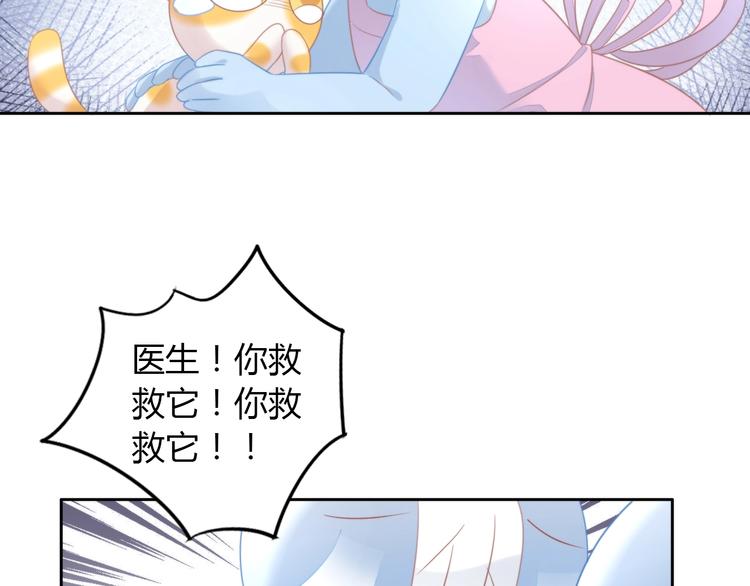 猫爪之下韩漫全集-第114话 猫咪也要刷牙！无删减无遮挡章节图片 