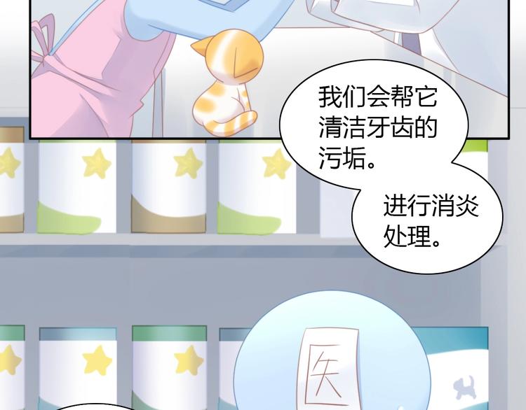 猫爪之下韩漫全集-第114话 猫咪也要刷牙！无删减无遮挡章节图片 