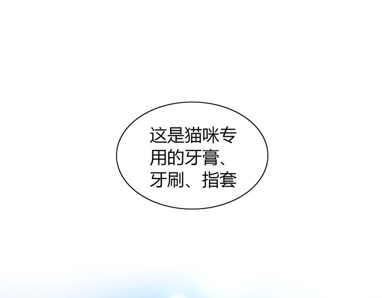 猫爪之下韩漫全集-第114话 猫咪也要刷牙！无删减无遮挡章节图片 