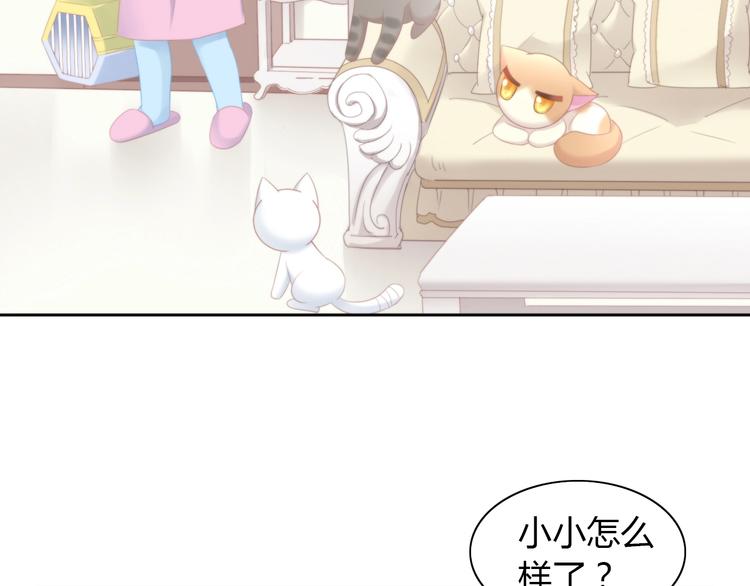 猫爪之下韩漫全集-第114话 猫咪也要刷牙！无删减无遮挡章节图片 