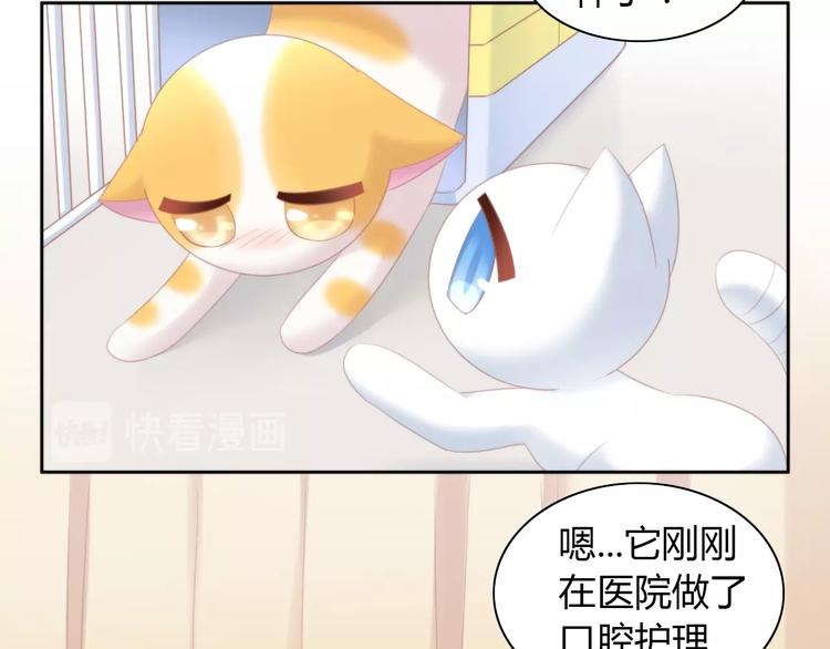 猫爪之下韩漫全集-第114话 猫咪也要刷牙！无删减无遮挡章节图片 