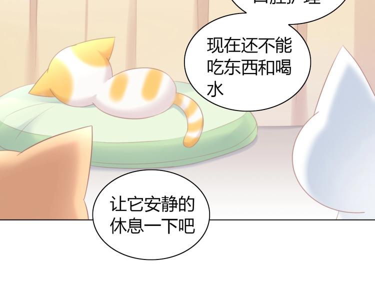 猫爪之下韩漫全集-第114话 猫咪也要刷牙！无删减无遮挡章节图片 