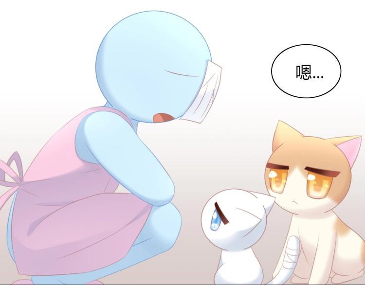 猫爪之下韩漫全集-第114话 猫咪也要刷牙！无删减无遮挡章节图片 