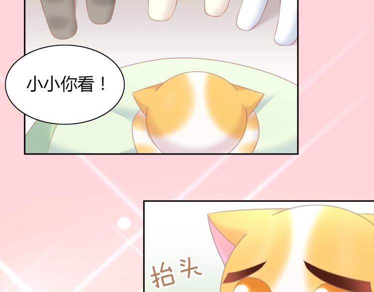 猫爪之下韩漫全集-第114话 猫咪也要刷牙！无删减无遮挡章节图片 