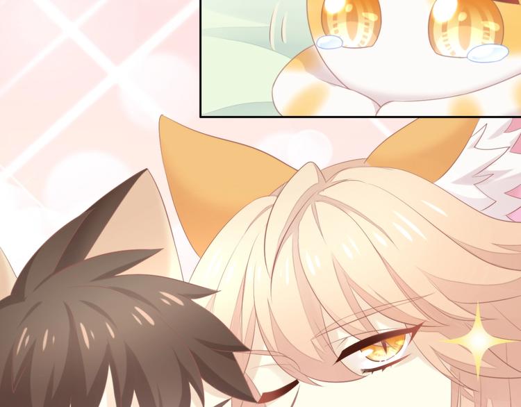 猫爪之下韩漫全集-第114话 猫咪也要刷牙！无删减无遮挡章节图片 
