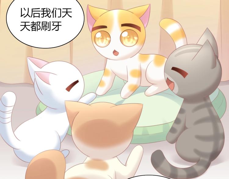 猫爪之下韩漫全集-第114话 猫咪也要刷牙！无删减无遮挡章节图片 