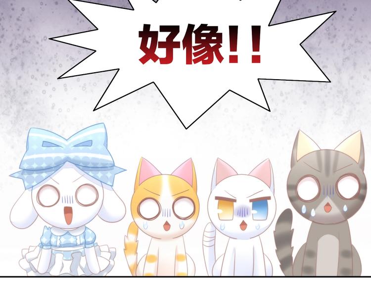 猫爪之下韩漫全集-第115话 星座无删减无遮挡章节图片 