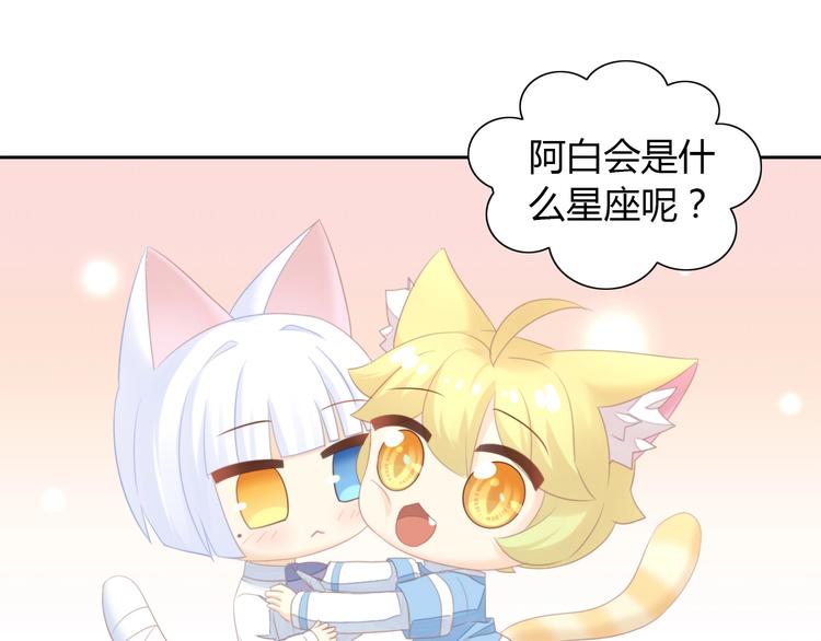 猫爪之下韩漫全集-第115话 星座无删减无遮挡章节图片 