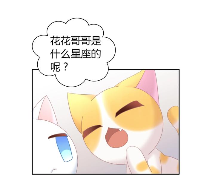 猫爪之下韩漫全集-第115话 星座无删减无遮挡章节图片 