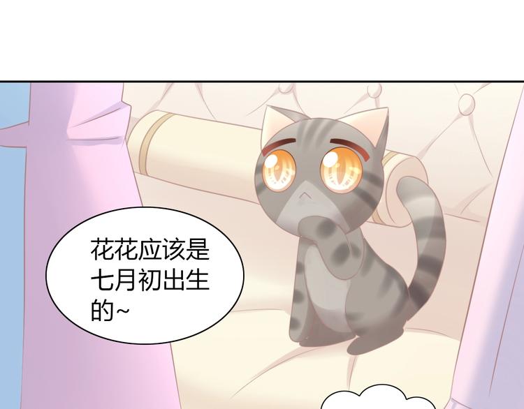 猫爪之下韩漫全集-第115话 星座无删减无遮挡章节图片 