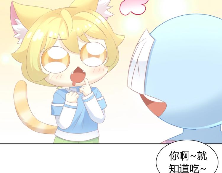 猫爪之下韩漫全集-第115话 星座无删减无遮挡章节图片 