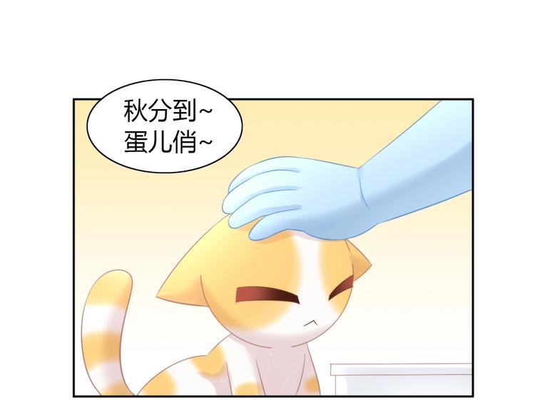 猫爪之下韩漫全集-第116话 秋分无删减无遮挡章节图片 