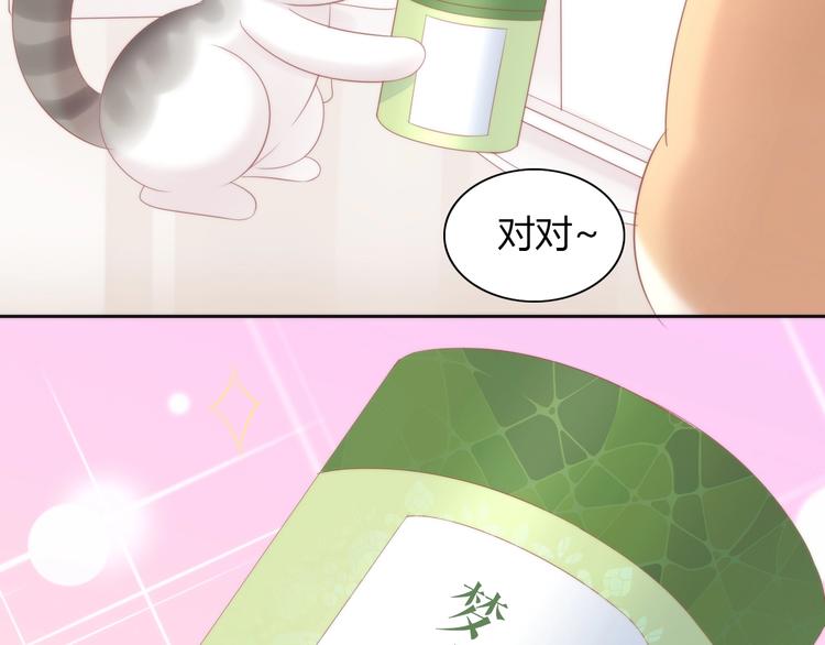 猫爪之下韩漫全集-第118话 猫爪学园（一）无删减无遮挡章节图片 