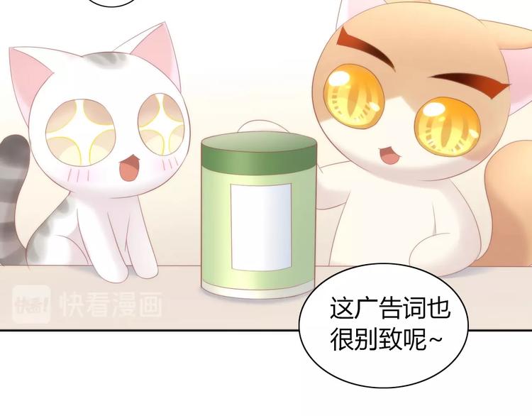 猫爪之下韩漫全集-第118话 猫爪学园（一）无删减无遮挡章节图片 