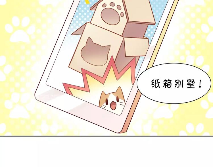 猫爪之下韩漫全集-第13话  纸箱竟然是！无删减无遮挡章节图片 