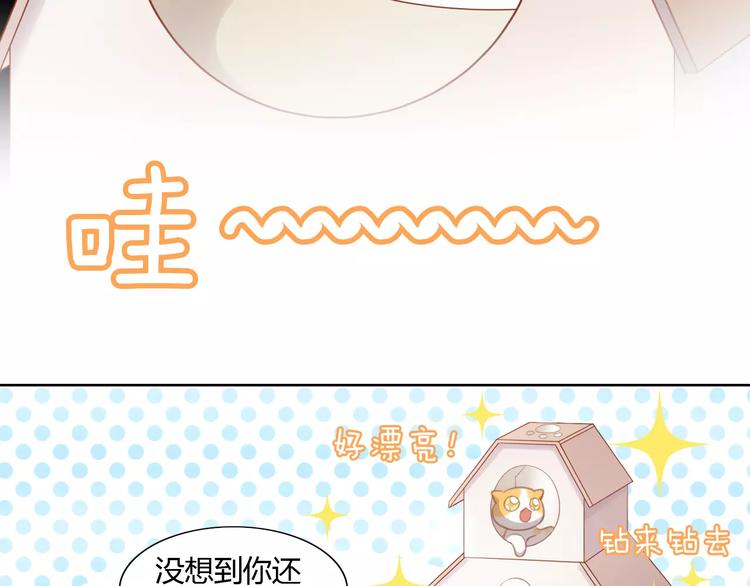 猫爪之下韩漫全集-第13话  纸箱竟然是！无删减无遮挡章节图片 