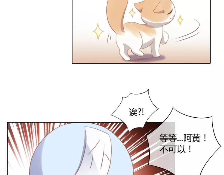猫爪之下韩漫全集-第13话  纸箱竟然是！无删减无遮挡章节图片 