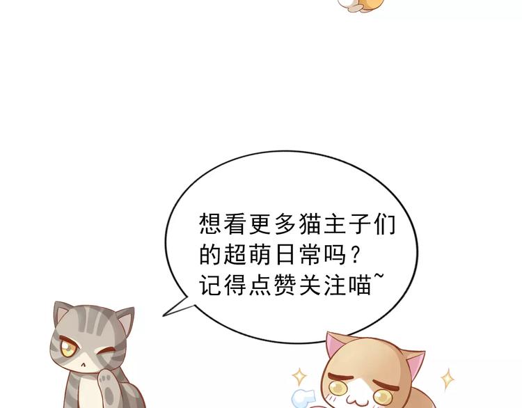 猫爪之下韩漫全集-第13话  纸箱竟然是！无删减无遮挡章节图片 