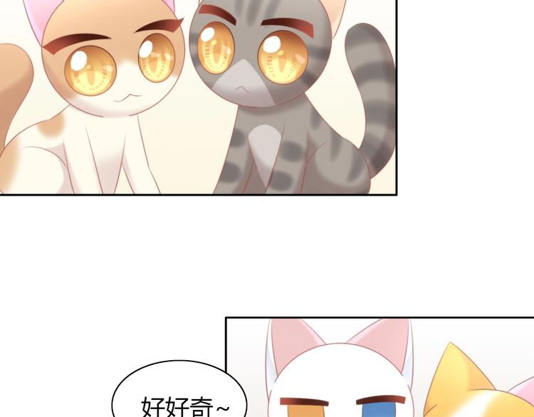猫爪之下韩漫全集-第121话 猫爪学园（四）无删减无遮挡章节图片 