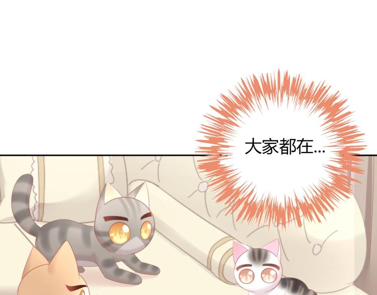 猫爪之下韩漫全集-第121话 猫爪学园（四）无删减无遮挡章节图片 