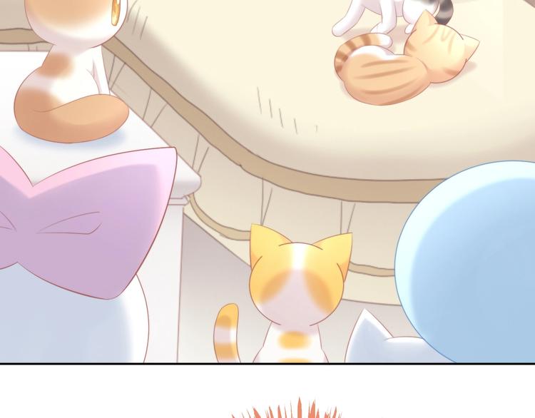 猫爪之下韩漫全集-第121话 猫爪学园（四）无删减无遮挡章节图片 