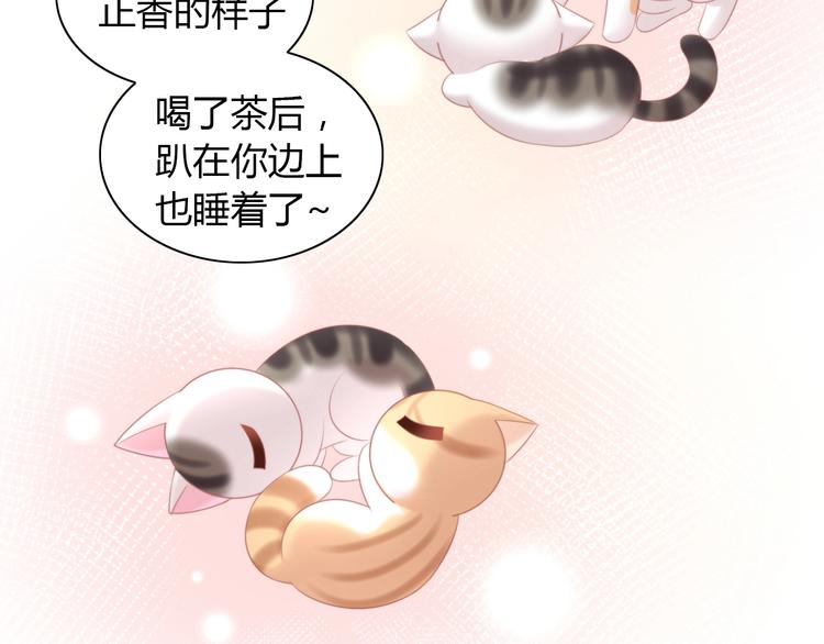 猫爪之下韩漫全集-第121话 猫爪学园（四）无删减无遮挡章节图片 