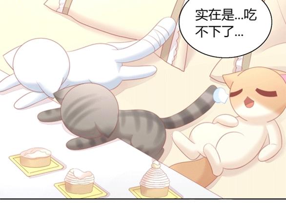 猫爪之下韩漫全集-第122话 做造型无删减无遮挡章节图片 