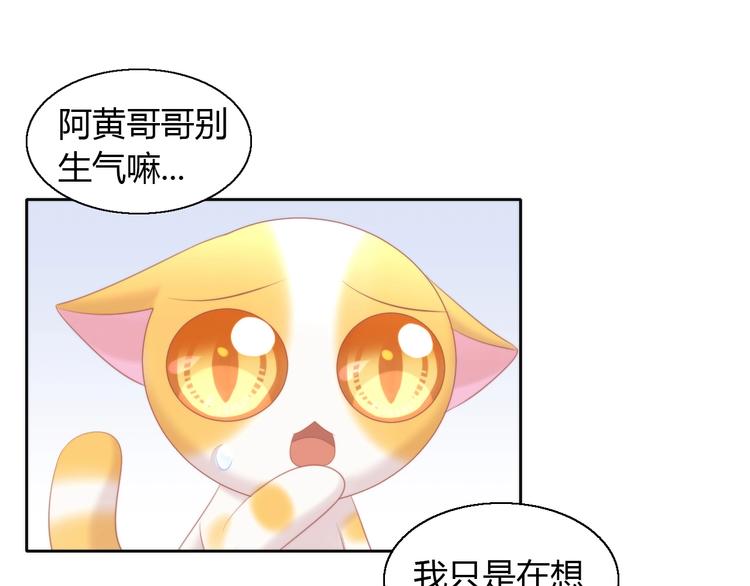 猫爪之下韩漫全集-第122话 做造型无删减无遮挡章节图片 