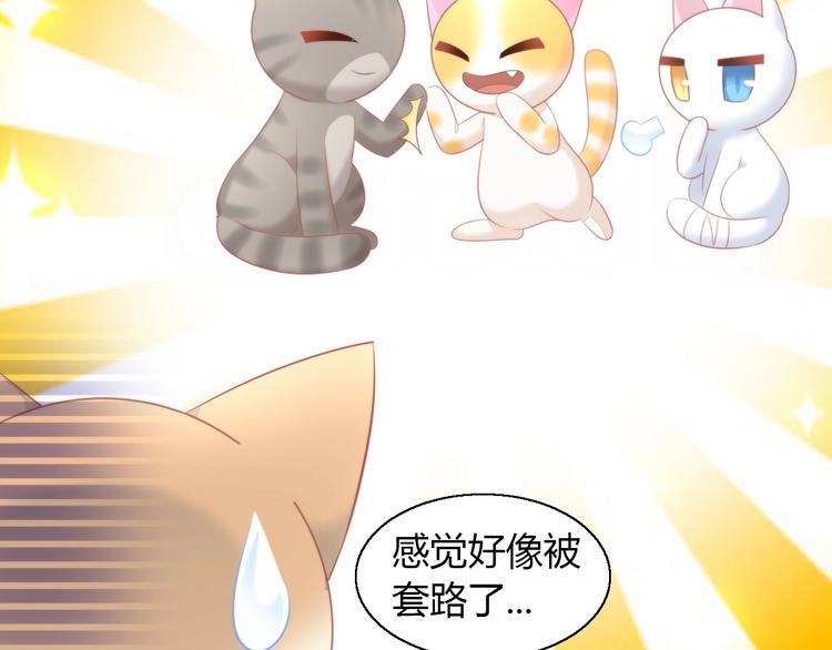 猫爪之下韩漫全集-第122话 做造型无删减无遮挡章节图片 