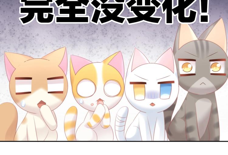 猫爪之下韩漫全集-第122话 做造型无删减无遮挡章节图片 