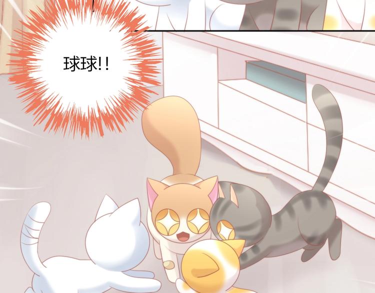 猫爪之下韩漫全集-第123话 秋日点心无删减无遮挡章节图片 