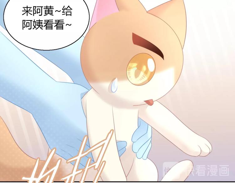 猫爪之下韩漫全集-第124话 要锻炼！无删减无遮挡章节图片 