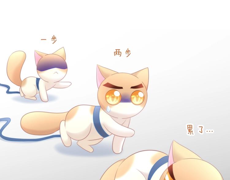 猫爪之下韩漫全集-第124话 要锻炼！无删减无遮挡章节图片 