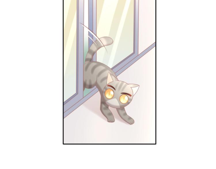 猫爪之下韩漫全集-第126话 猫舍C位（二）无删减无遮挡章节图片 
