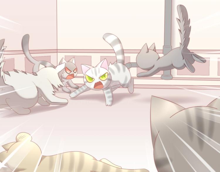 猫爪之下韩漫全集-第126话 猫舍C位（二）无删减无遮挡章节图片 