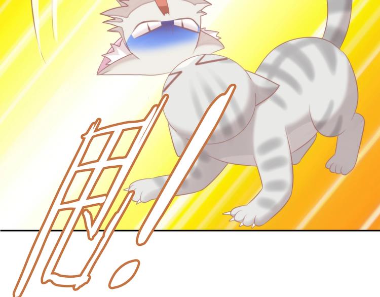 猫爪之下韩漫全集-第126话 猫舍C位（二）无删减无遮挡章节图片 