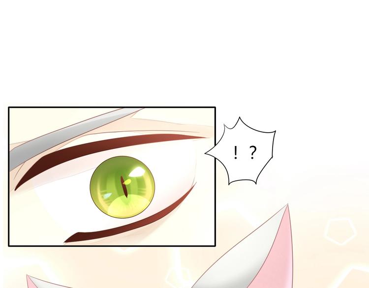 猫爪之下韩漫全集-第126话 猫舍C位（二）无删减无遮挡章节图片 