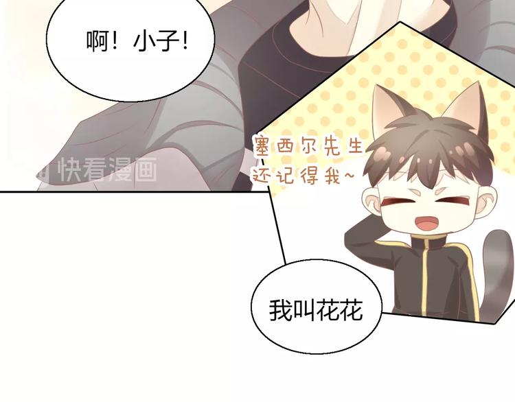 猫爪之下韩漫全集-第126话 猫舍C位（二）无删减无遮挡章节图片 